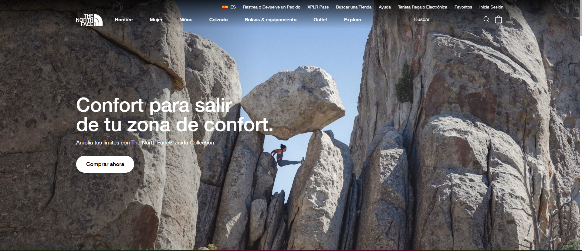 Análisis compositivo home